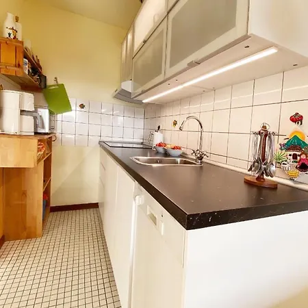 Apartament Reetdachwohnung 200m Vom Ordinger *